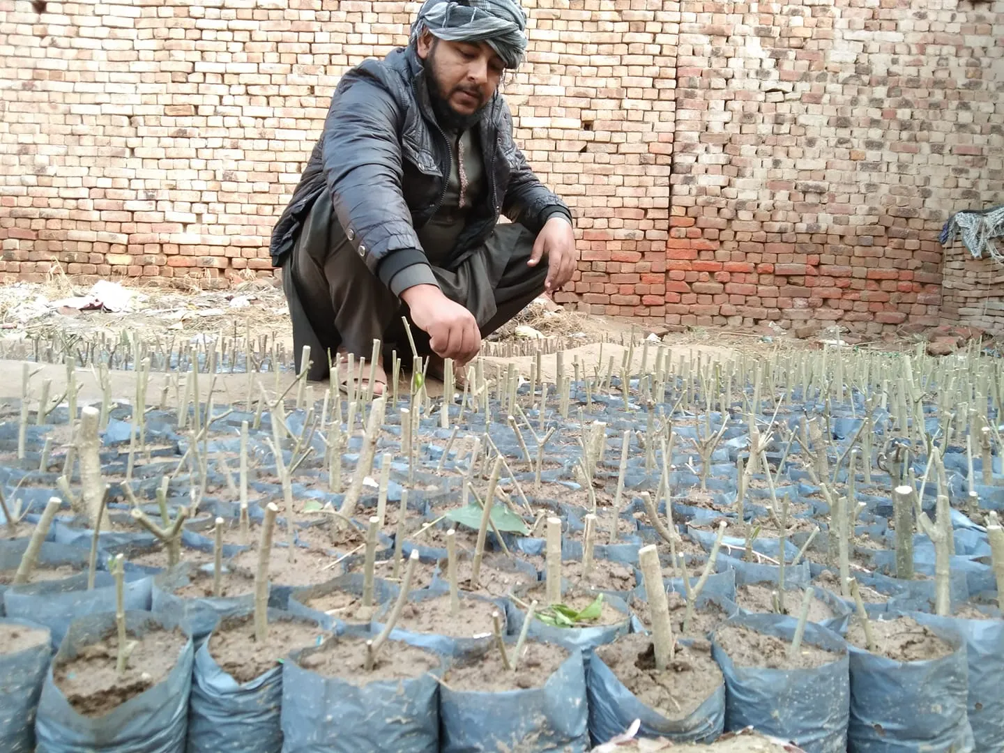 Green Seekers Activity